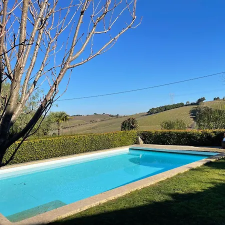 Vinhas * Aldeia Galega da Merceana e Aldeia Gavinha