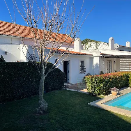 Vinhas * Aldeia Galega da Merceana e Aldeia Gavinha