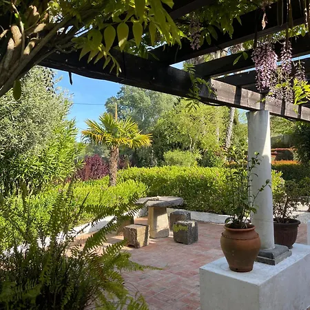 Vinhas Aldeia Galega da Merceana e Aldeia Gavinha