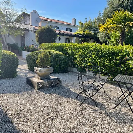 Vinhas * Aldeia Galega da Merceana e Aldeia Gavinha