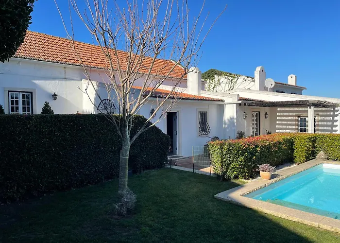 Vinhas * Aldeia Galega da Merceana e Aldeia Gavinha