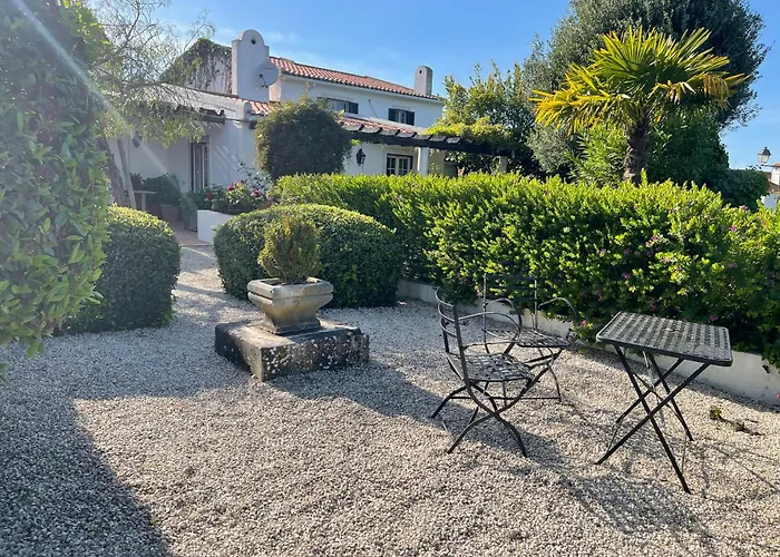 Vinhas * Aldeia Galega da Merceana e Aldeia Gavinha